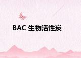 BAC 生物活性炭