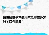 良性脑瘤手术费用大概需要多少钱（良性脑瘤）