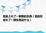 屁股上长了一颗颗的东西（屁股里面长了一颗东西是什么）