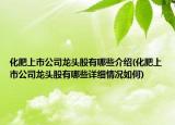 化肥上市公司龙头股有哪些介绍(化肥上市公司龙头股有哪些详细情况如何)