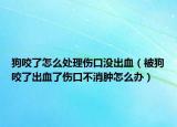 狗咬了怎么处理伤口没出血（被狗咬了出血了伤口不消肿怎么办）