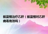 板蓝根治疗乙肝（板蓝根对乙肝病毒有效吗）