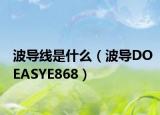 波导线是什么（波导DOEASYE868）