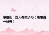 峨眉山一线天有猴子吗（峨眉山一线天）