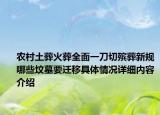 农村土葬火葬全面一刀切殡葬新规哪些坟墓要迁移具体情况详细内容介绍