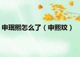 申珉熙怎么了（申熙玟）