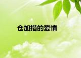 仓加措的爱情