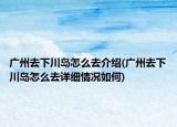 广州去下川岛怎么去介绍(广州去下川岛怎么去详细情况如何)