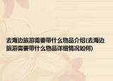 去海边旅游需要带什么物品介绍(去海边旅游需要带什么物品详细情况如何)