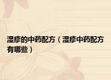 湿疹的中药配方（湿疹中药配方有哪些）