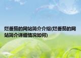 烂番茄的网站简介介绍(烂番茄的网站简介详细情况如何)