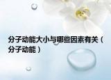 分子动能大小与哪些因素有关（分子动能）
