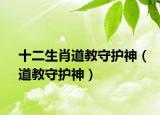 十二生肖道教守护神（道教守护神）