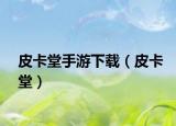 皮卡堂手游下载（皮卡堂）