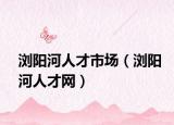 浏阳河人才市场（浏阳河人才网）