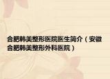 合肥韩美整形医院医生简介（安徽合肥韩美整形外科医院）