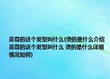 吴尊的这个发型叫什么(烫的是什么介绍 吴尊的这个发型叫什么 烫的是什么详细情况如何)