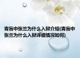 青盲中张兰为什么入狱介绍(青盲中张兰为什么入狱详细情况如何)