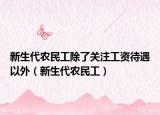 新生代农民工除了关注工资待遇以外（新生代农民工）