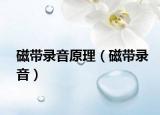 磁带录音原理（磁带录音）