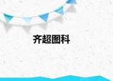 齐超图科