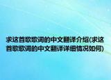 求这首歌歌词的中文翻译介绍(求这首歌歌词的中文翻译详细情况如何)