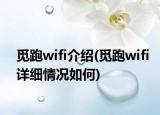 觅跑wifi介绍(觅跑wifi详细情况如何)