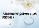 古代爬行动物的身体特征（古代爬行动物）