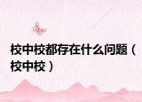 校中校都存在什么问题（校中校）