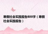 寒假社会实践报告800字（寒假社会实践报告）