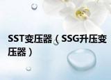 SST变压器（SSG升压变压器）