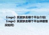 《csgo》买皮肤去哪个平台介绍(《csgo》买皮肤去哪个平台详细情况如何)