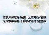 情意深深意绵绵是什么歌介绍(情意深深意绵绵是什么歌详细情况如何)