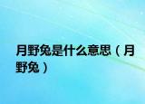 月野兔是什么意思（月野兔）