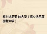 宾夕法尼亚 的大学（宾夕法尼亚加利大学）