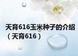天育616玉米种子的介绍（天育616）