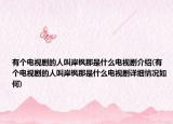 有个电视剧的人叫岸枫那是什么电视剧介绍(有个电视剧的人叫岸枫那是什么电视剧详细情况如何)