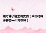 川芎种子哪里有卖的（中药材种子种苗—川芎苓种）