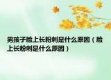 男孩子脸上长粉刺是什么原因（脸上长粉刺是什么原因）