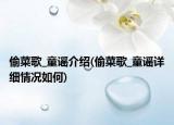 偷菜歌_童谣介绍(偷菜歌_童谣详细情况如何)