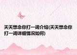 天天想念你打一词介绍(天天想念你打一词详细情况如何)