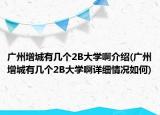 广州增城有几个2B大学啊介绍(广州增城有几个2B大学啊详细情况如何)