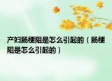 产妇肠梗阻是怎么引起的（肠梗阻是怎么引起的）