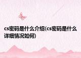 cs密码是什么介绍(cs密码是什么详细情况如何)