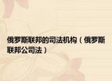俄罗斯联邦的司法机构（俄罗斯联邦公司法）