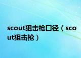 scout狙击枪口径（scout狙击枪）