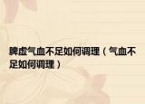 脾虚气血不足如何调理（气血不足如何调理）