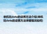 单机玩dota的设置方法介绍(单机玩dota的设置方法详细情况如何)