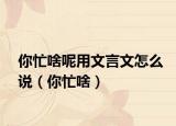 你忙啥呢用文言文怎么说（你忙啥）