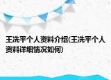 王冼平个人资料介绍(王冼平个人资料详细情况如何)